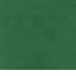 Velours clover (similar to RAL 6016) 
