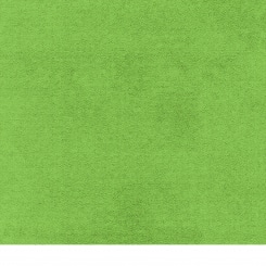 Velours reseda (similar to RAL 6018) 