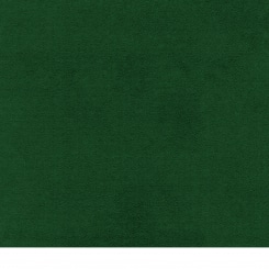 Velours moos (similar to RAL 6005) 
