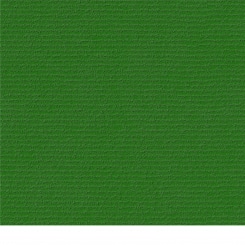 Rips clover (similar to RAL 6010) 