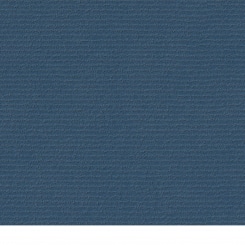 Rips jeans (similar to RAL 2014) 