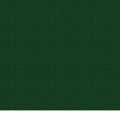 Rips green (ähnl. HKS 58) 